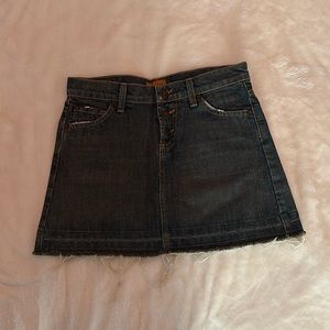 James Preserved Denim. Denim Skirt